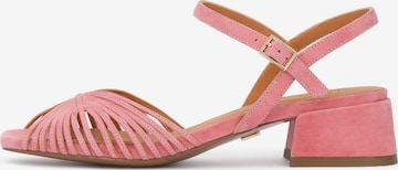 Kazar Remsandal i rosa: framsida