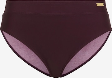 LASCANA Bikinibroek 'Lolo' in Lila: voorkant