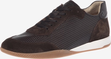 Chaussure à lacets BALDININI en marron : devant