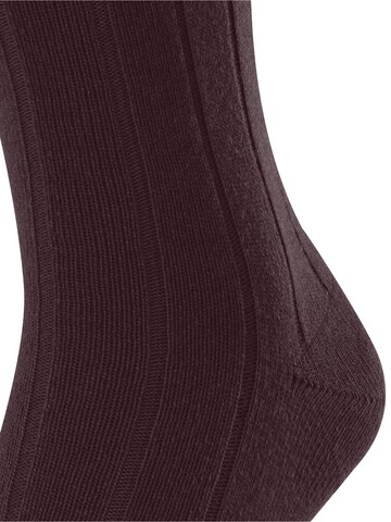 FALKE Socks 'Lhasa Rib' in Red