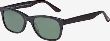 Pilgrim Aurinkolasit 'CORBYN' värissä ruskea: etupuoli