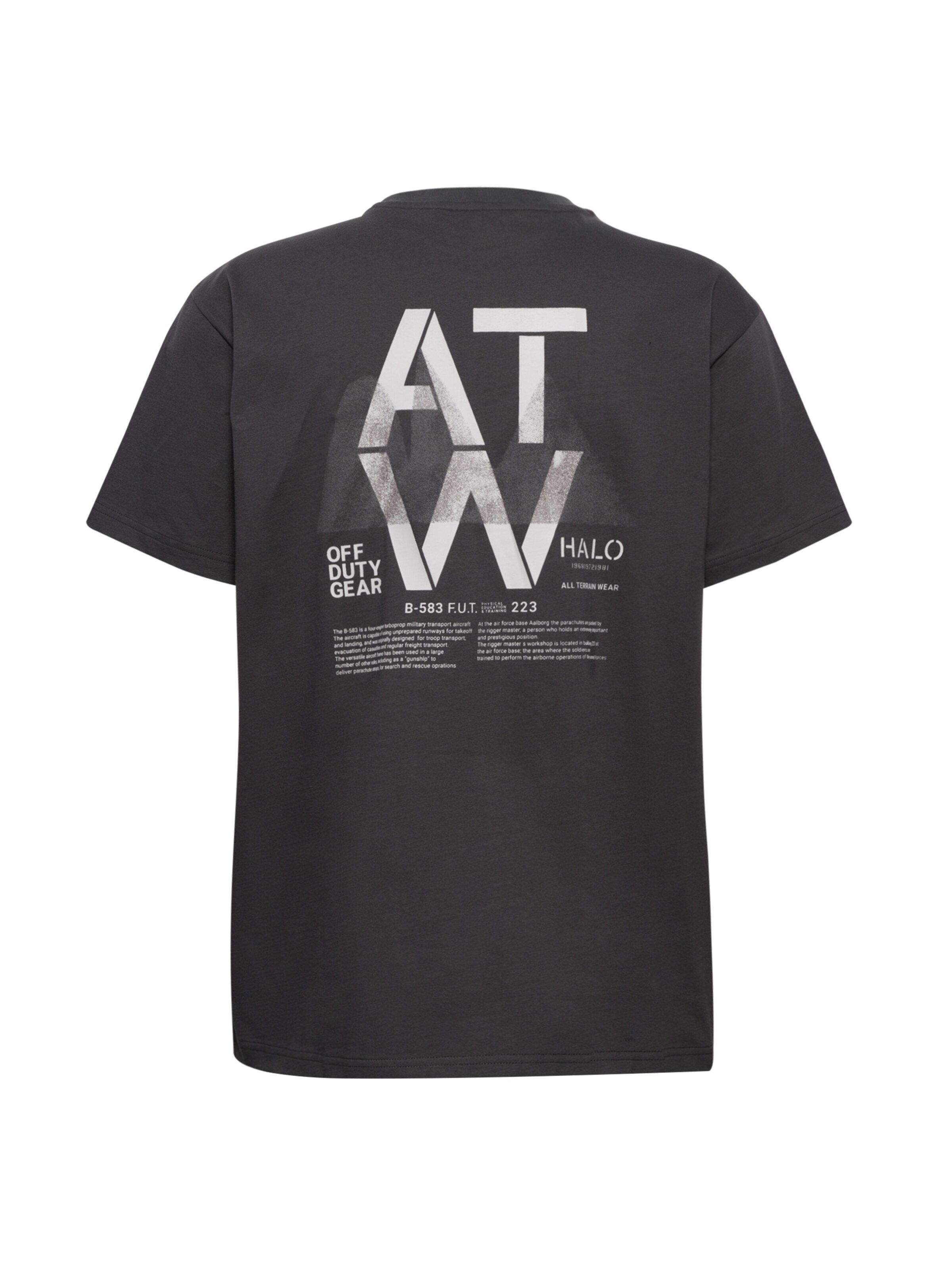 T-Shirt HALO en gris