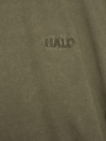 HALO Shirt in Groen