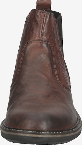 IGI&CO Chelsea boots in Bruin