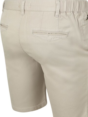 Coupe slim Pantalon 'Ferdinand' Suitable en gris