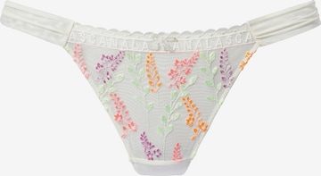 String LASCANA en blanc : devant