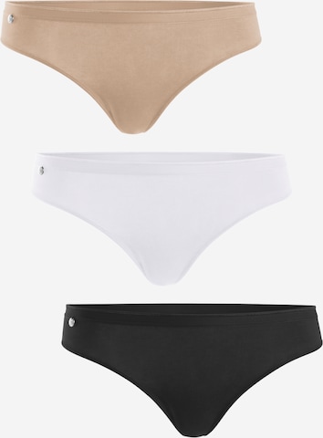 celodoro Panty 'Basic' in Mixed colors: front