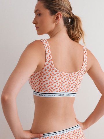 Next - Bustier Sujetador en Mezcla de colores