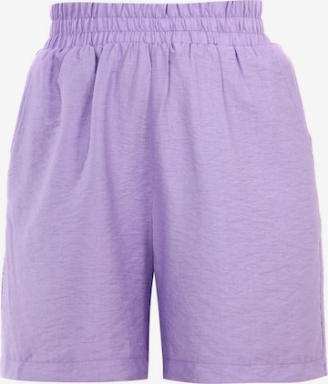 Awesome Apparel Regular Pants in Purple: front
