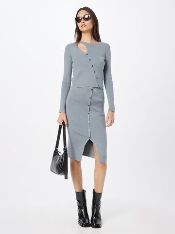 Calvin Klein Jeans Skirt in Grey