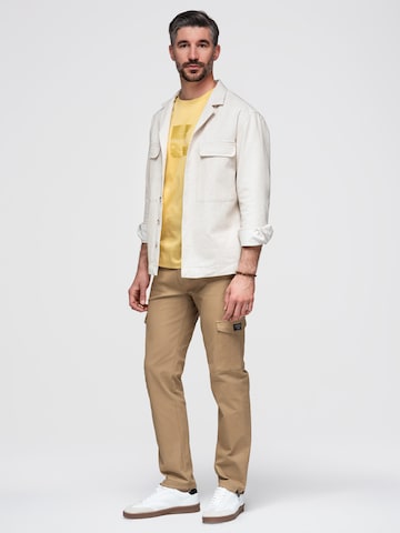 Ombre Regular Cargo Pants in Brown: front