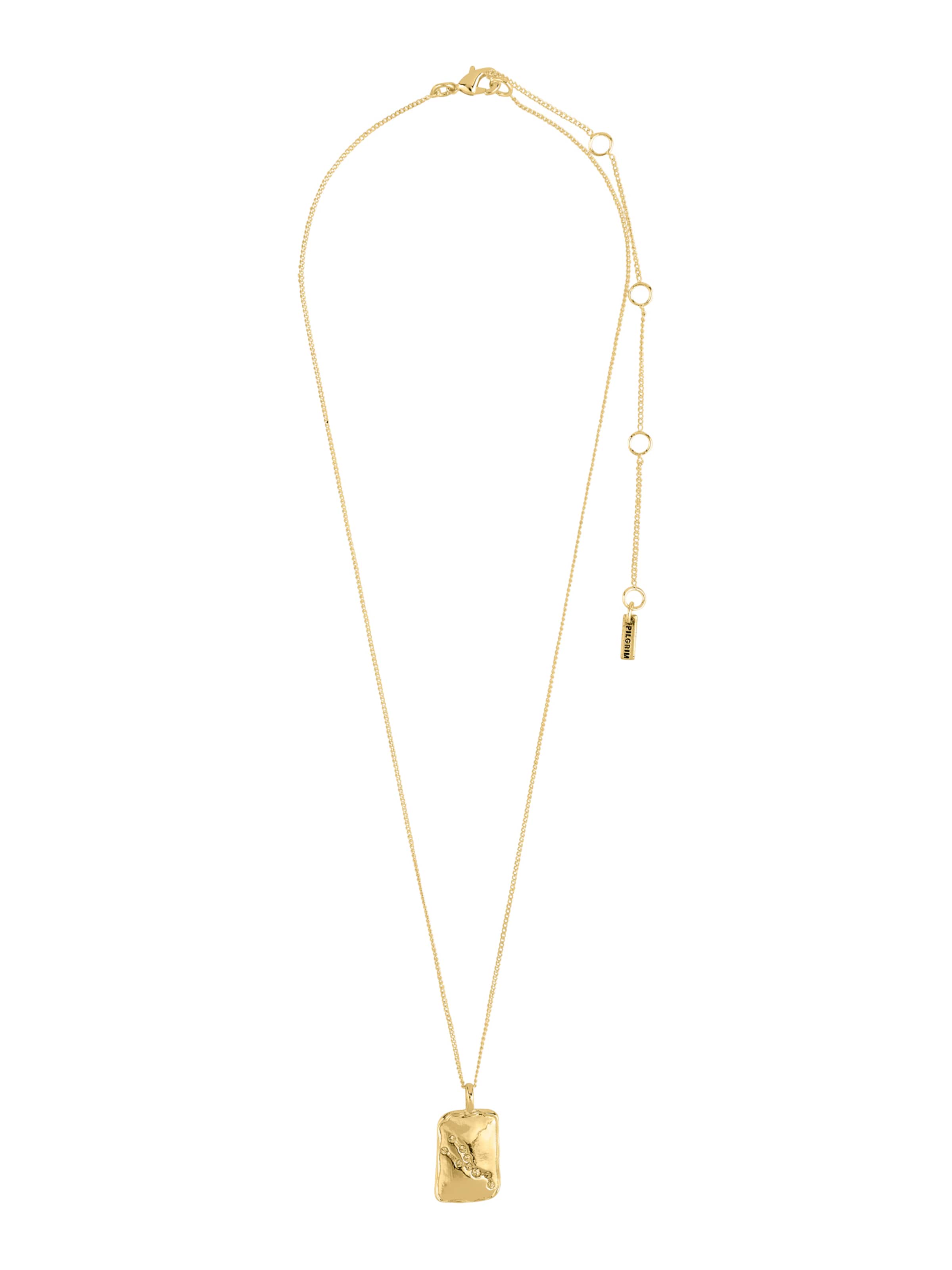 Lanțuri 'Zodiac Sign Taurus' de la Pilgrim pe auriu