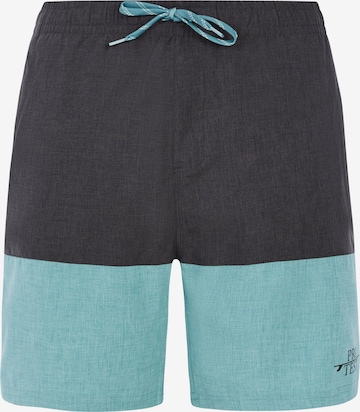 PROTEST Board Shorts 'PRTFreddie' in Green: front