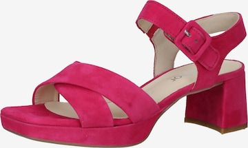 GABOR Sandalen met riem in Roze: voorkant