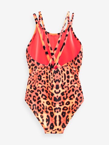 Next Badeanzug in Pink