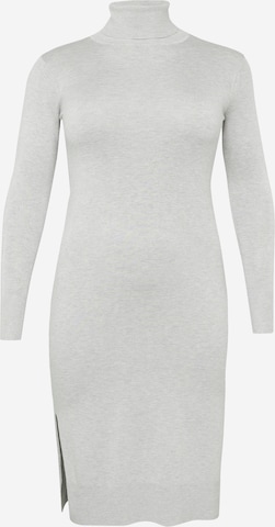 Dorothy Perkins Curve Knitted dress in Grey: front