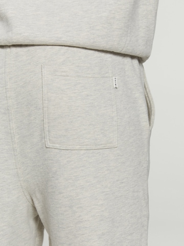 Effilé Pantalon Shiwi en gris