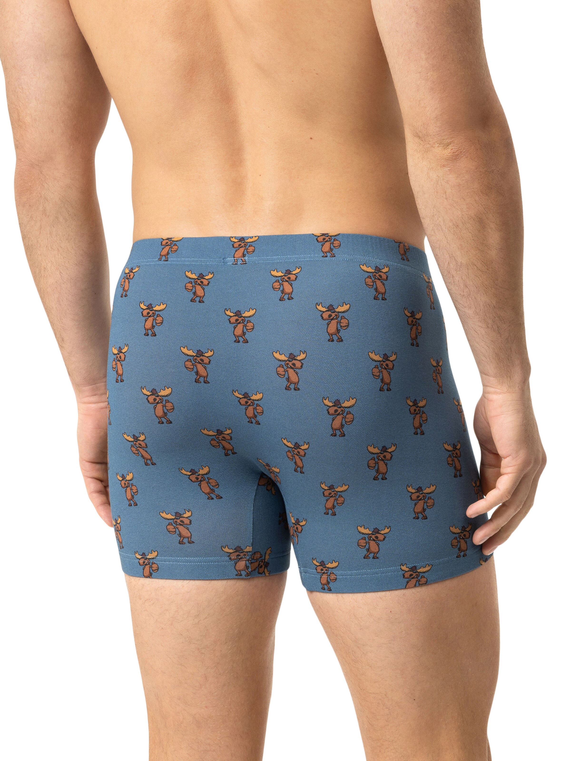 Boxers ' Serie Gentle Moose ' Mey en bleu