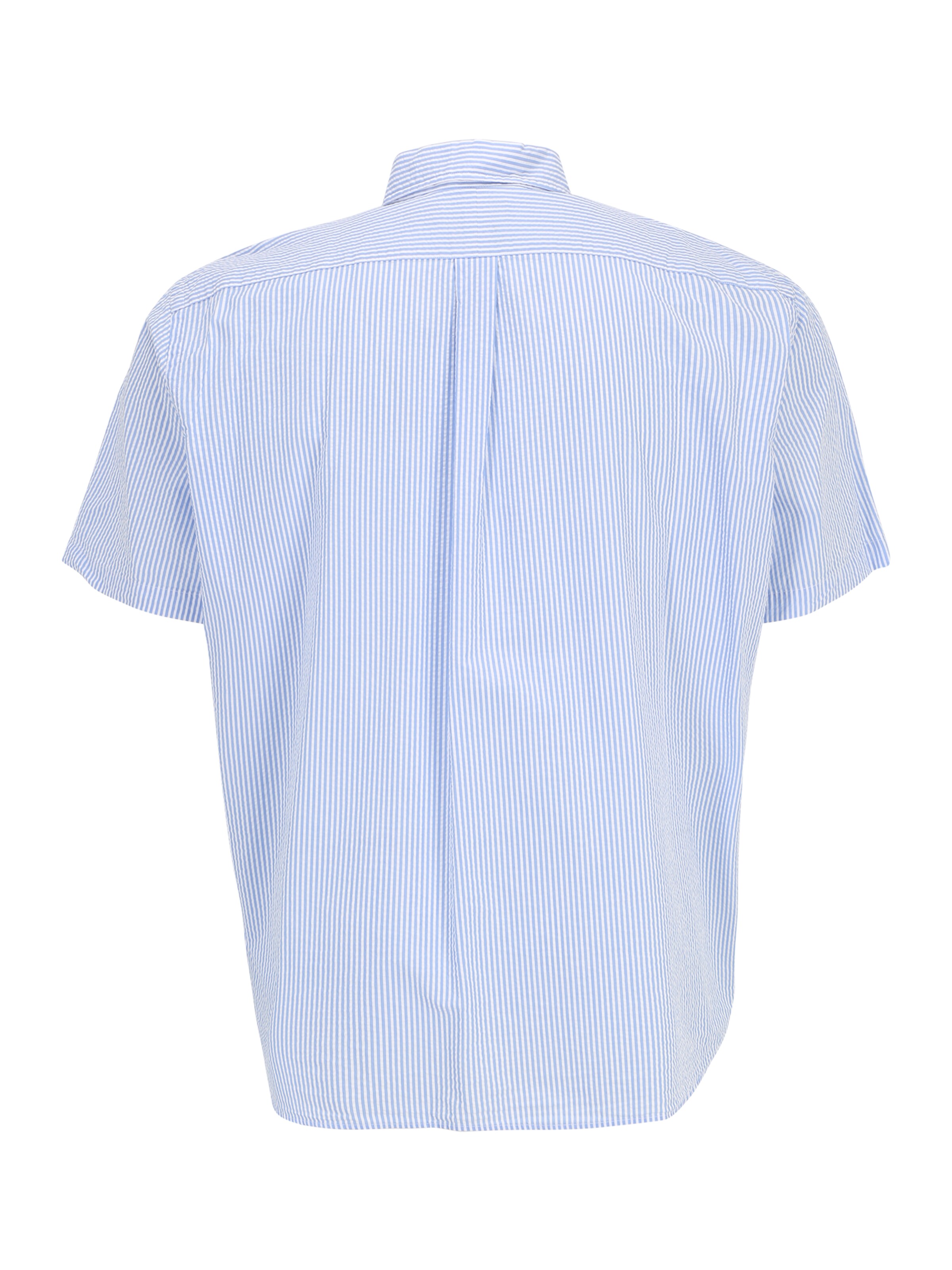 Polo Ralph Lauren Big & Tall Regular fit Πουκάμισο σε μπλε