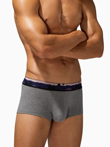 SEOBEAN Boxershorts‌‌‌‌ in Grau