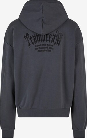 MT Upscale Sweatshirt 'Teamdream' in Grau