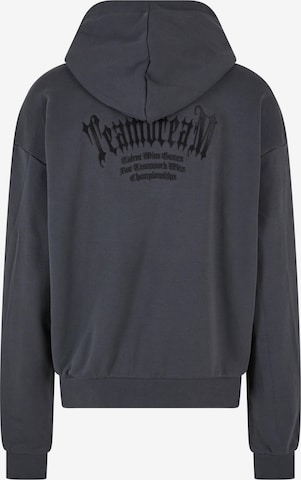 MT Upscale Sweatshirt 'Teamdream' in Grey
