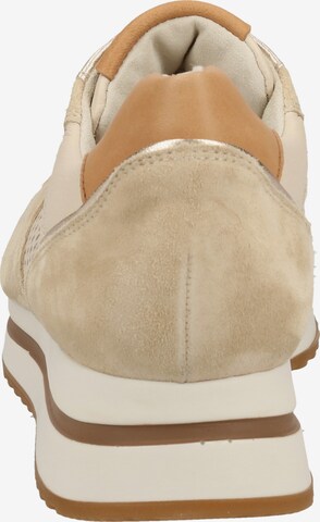 Paul Green Sneaker in Beige