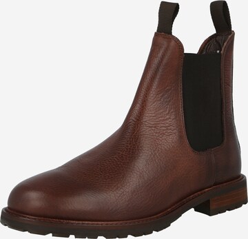Boots chelsea 'York' di Shoe The Bear in marrone: frontale