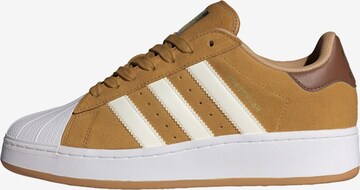 Baskets basses 'Superstar' ADIDAS ORIGINALS en marron : devant