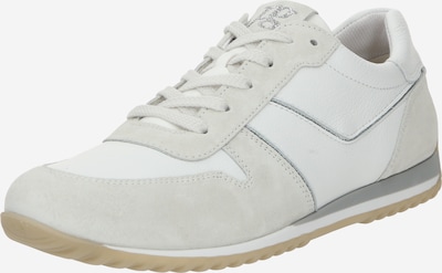 Sneaker bassa Paul Green di colore grigio chiaro / argento / bianco sfumato, Visualizzazione prodotti