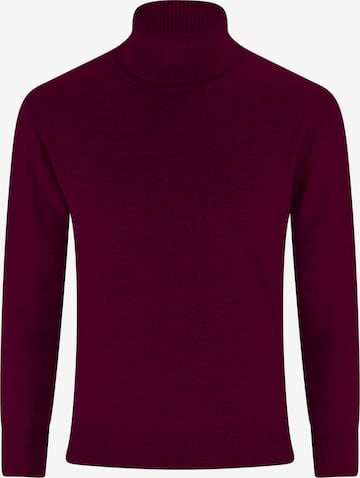CASH-MERE.CH Kaschmir Pullover in Rot: Vorderseite