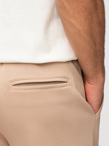 Ombre Regular Trousers in Beige