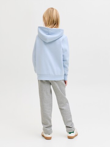 JJ Rebel - Loosefit Pantalón 'JREBKENNI' en gris