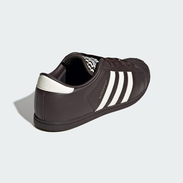Baskets basses 'Superstar Lo Pro' ADIDAS ORIGINALS en marron