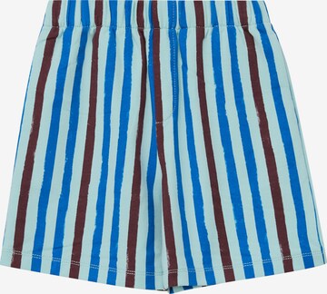 s.Oliver Shorts in Blau: Vorderseite