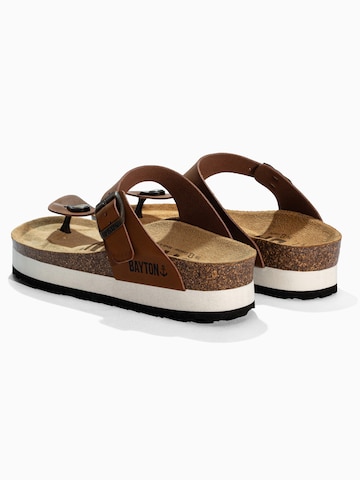 Bayton Μιούλ 'ASTURIAS' σε καφέ