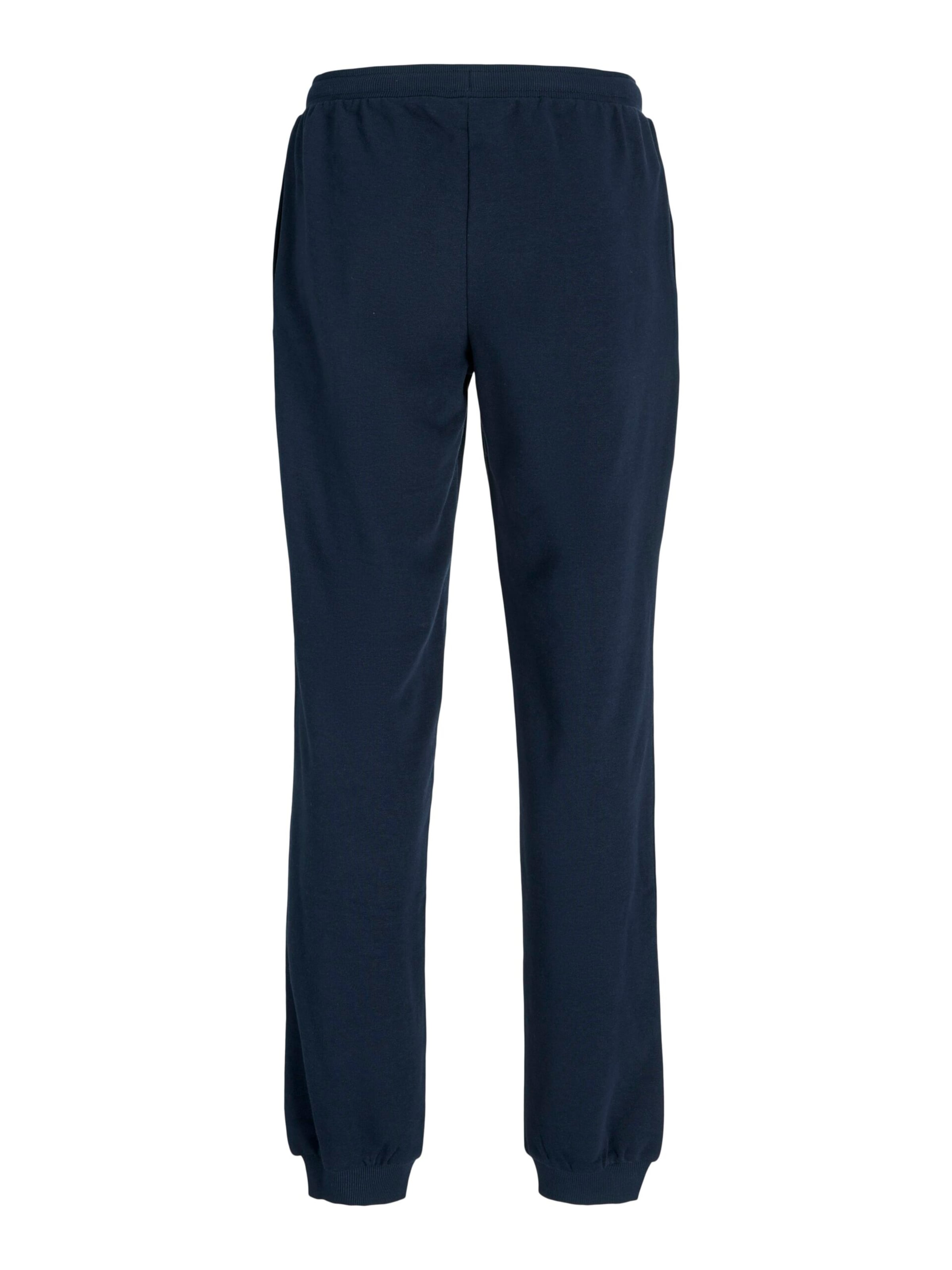 JACK & JONES Regular Trousers in Blue