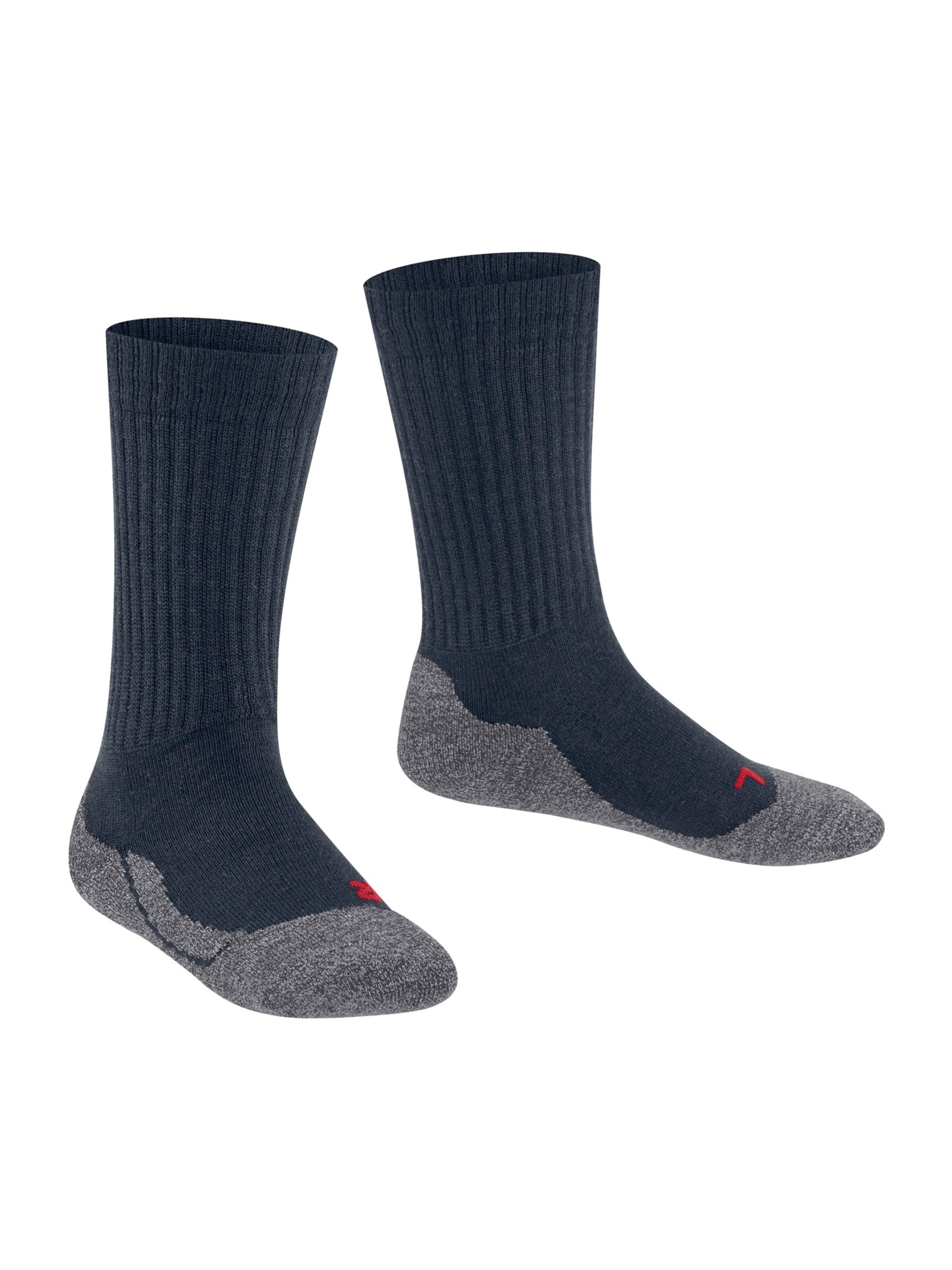 FALKE Spordisokid, värv sinine