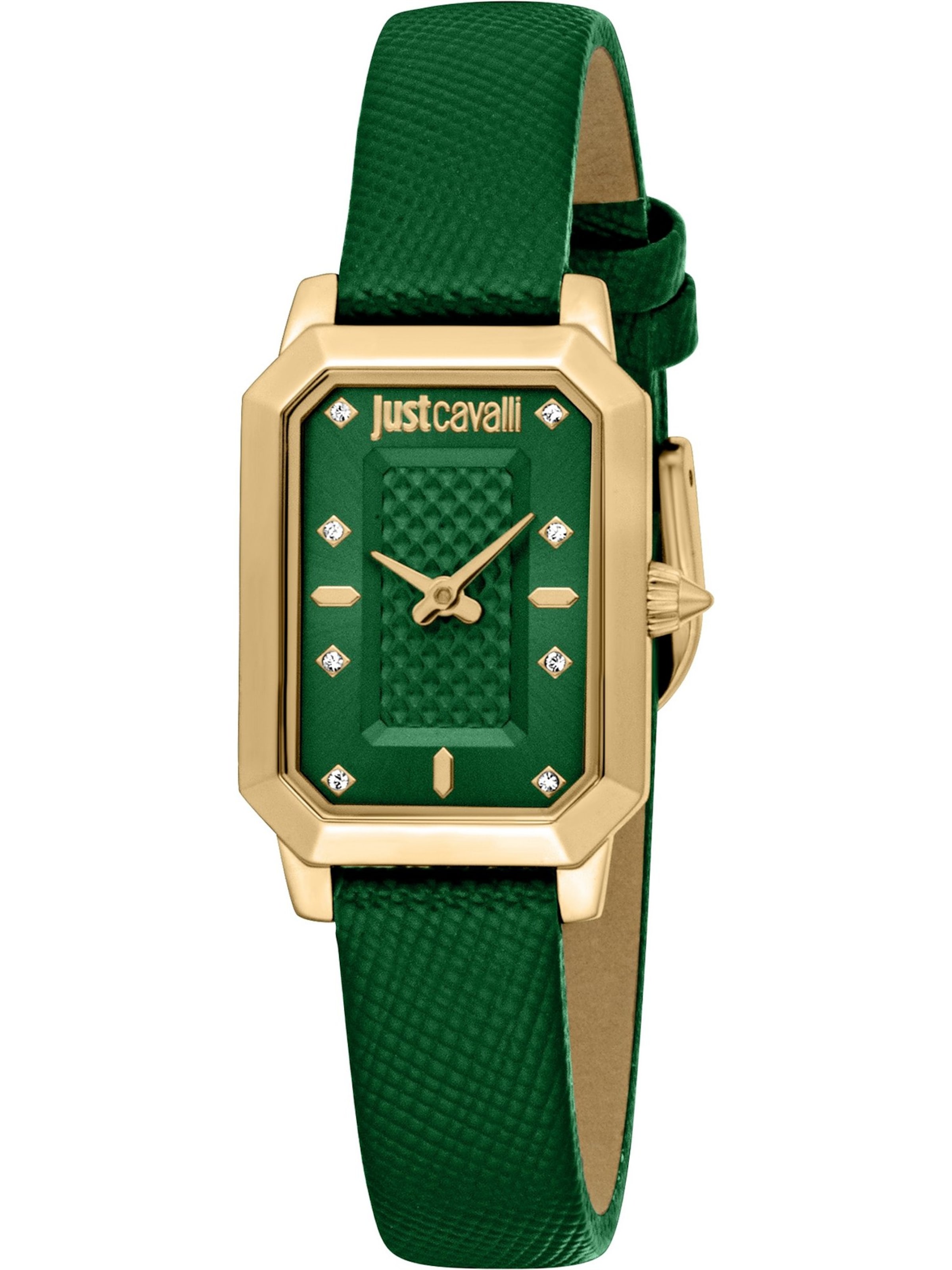 Just Cavalli Analog Watch in Green: front