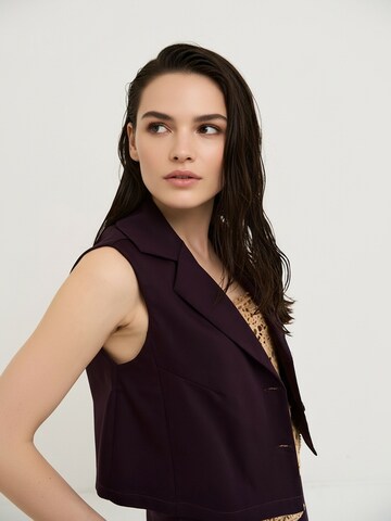 Camomilla Italia Gilet 'Clayd' in Lila