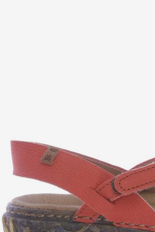 EL NATURALISTA Sandals & High-Heeled Sandals in 36 in Red