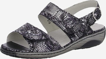 WALDLÄUFER Strap Sandals in Grey: front