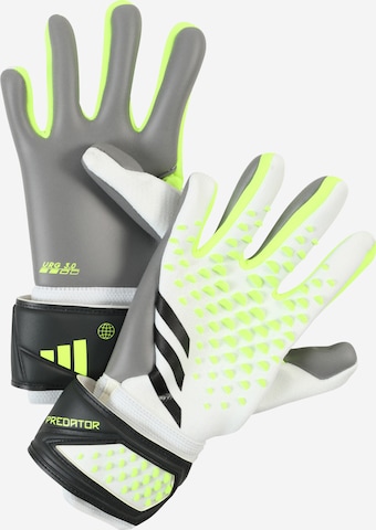 ADIDAS PERFORMANCE Athletic Gloves 'Predator League' in Grey: front