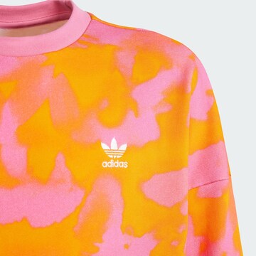 ADIDAS ORIGINALS Sweatshirt ' Summer ' in Orange