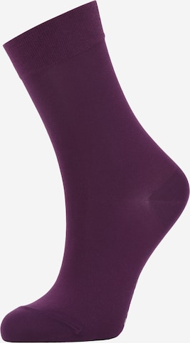 Chaussettes FALKE en violet : devant