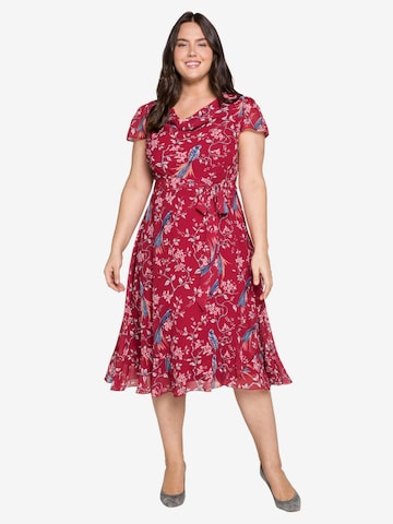 sheego by Joe Browns Summer Dress in Red: front