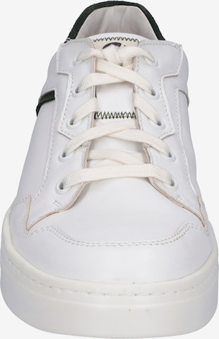 JOSEF SEIBEL Lace-Up Shoes 'FRED' in White