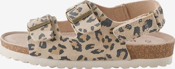 Sandales Next en marron : devant