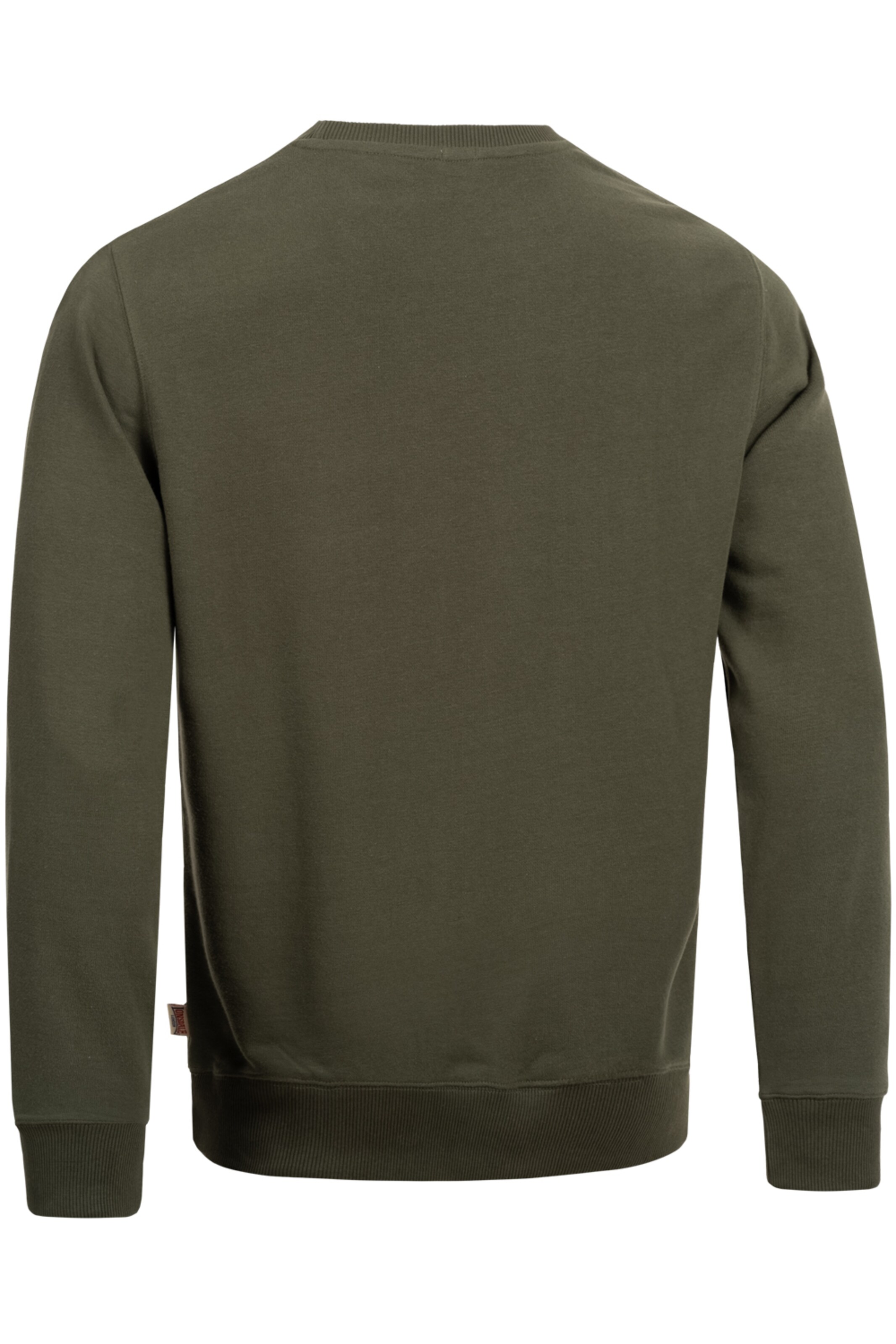 LONSDALE Sweatshirt 'Longridge' i grön