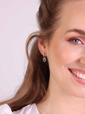 Lucardi Earrings in Silver: front